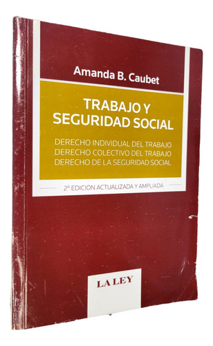 Trabajo Y Seguridad Social / Amanda Beatriz Caubet