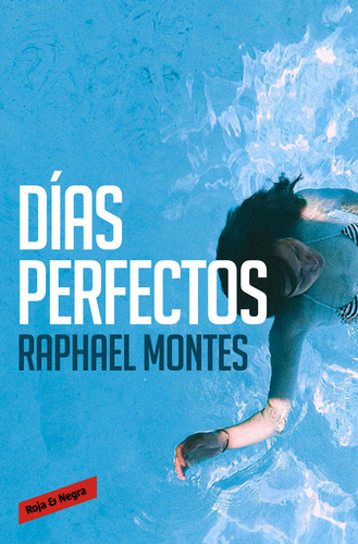 Dias Perfectos ( Libro Original )