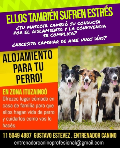 Imagen 2 de 7 de **adiestramiento Canino A Domicilio ** Guarderia Canina**.