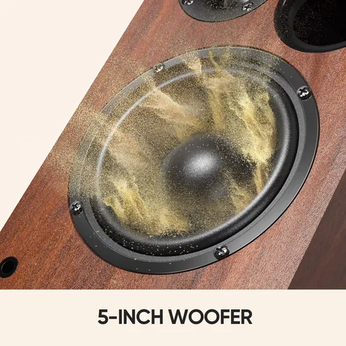 Altavoces Bluetooth Saiyin Para Reproductor De Discos