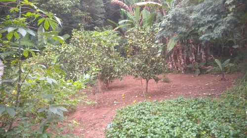 Imagem 4 de 8 de Terreno Com Árvores Frutíferas E Casa Á Terminar Cód. 561