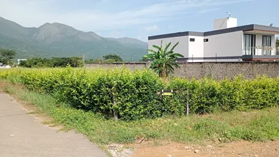 Lote y casalote en arriendo