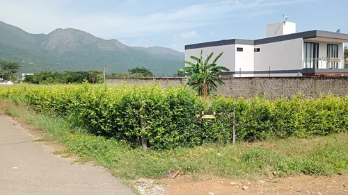 Lote En Arriendo En Recta Corozal. Cod A30677