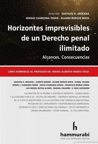 Horizontes Imprevisibles De Un Derecho Penal Ilimitado - Var