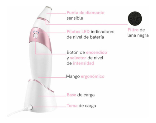 Microdermabrasion Punta De Diamante Homedics Radiance