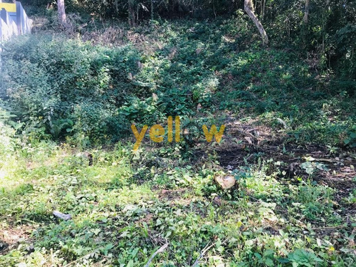 Imagem 3 de 3 de Terreno - Jardim Fazenda Rincão - Te-3989