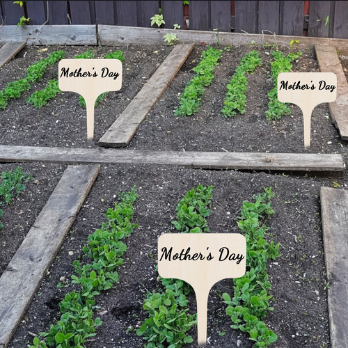 Etiqueta De Jardinagem Com Placa De Madeira Inserida No Chão