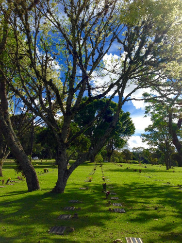 Imagem 11 de 14 de Jazigo - Cemitério Parque Iguaçú
