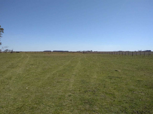 Vendo Campo De 226 Ha