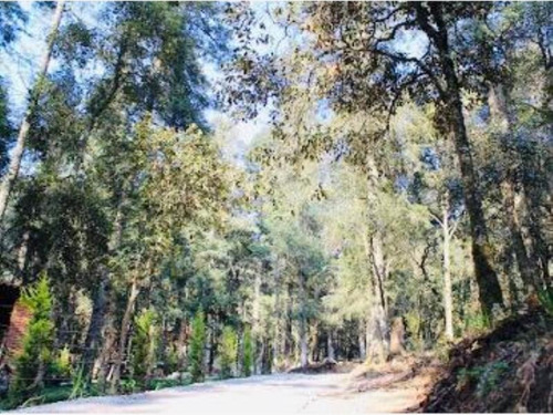 Imagen 12 de 12 de Terreno En Venta Mineral Del Monte Centro