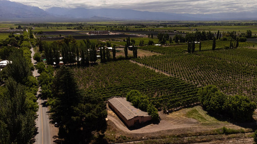 Finca En Venta En Tunuyán
