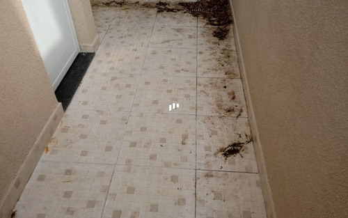Imagem 5 de 15 de Sobrado Em Condomínio Com Quintal Em Praia Grande Sp.