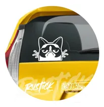Comprar Calcomanía Mascotas Gato Gruñon Meme Ploteo Tatoo 15 Cm