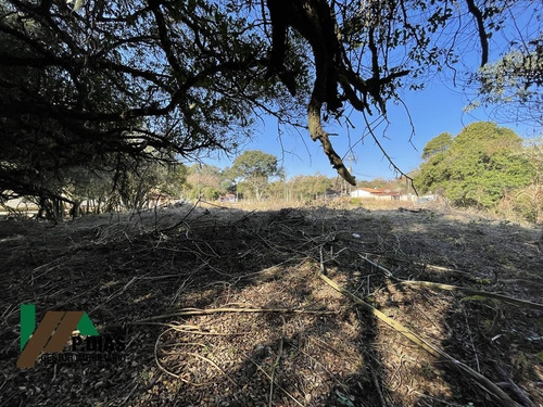Imagem 6 de 9 de Ótima Oportunidade Para Quem Procura Um Terreno Bem Localizado Em Pinhalzinho, Interior De São Paulo - Te0160