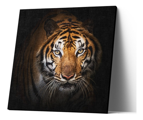 Cuadro Canvas Pintura Rosto Tigre Real 20x20cm