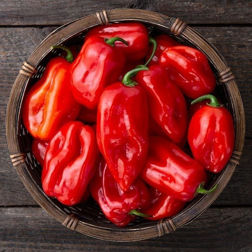 Imagem 4 de 6 de Molho De Pimenta Red Habanero Bullet Pepper 150ml