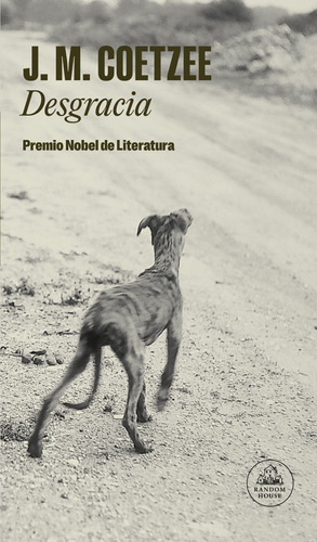 Desgracia, de Coetzee, J. M.. Serie Random House Editorial Literatura Random House, tapa blanda en español, 2022