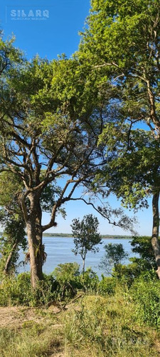 Imagen 20 de 30 de Terreno - Ita Ibate Corrientes Punta Gallino
