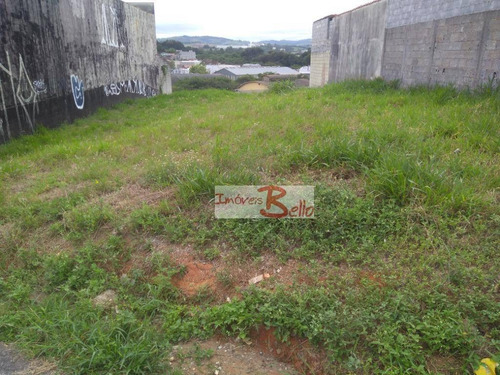 Imagem 1 de 5 de Lindo Terreno Zona Mista - Te0784