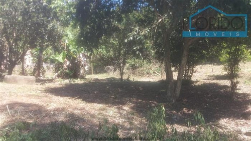 Imagem 23 de 29 de Chácaras À Venda Em Campo Limpo Paulista/sp - Compre O Seu Chácaras Aqui! - 1434391