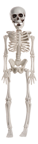 Esqueleto Humano De Halloween Con Calavera De Calabaza Model