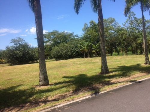 Imagen 8 de 17 de Lote Residencial Restrepo - Meta