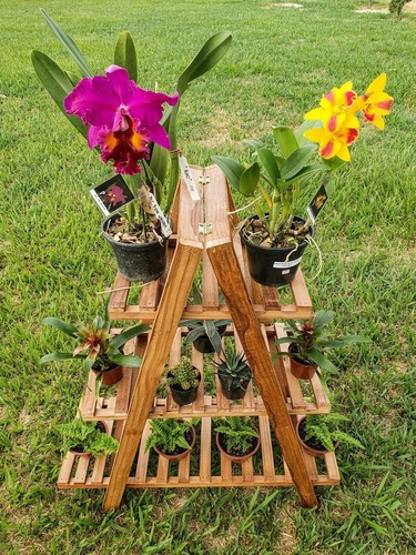 Suporte Para Vaso Planta Madeira Maciça Suculenta Orquídeas