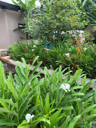 Imagen 21 de 30 de Terreno En Coatepec Veracruz Con Areas Comunes Y Privado