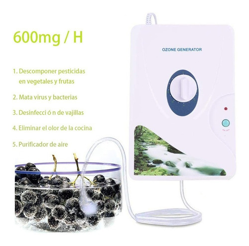 Imagen 6 de 8 de Filtro Generador De Ozono 600mg/h