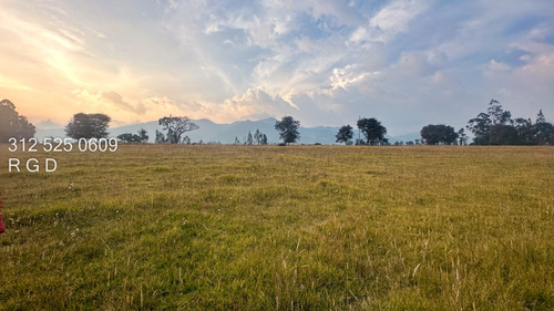 Lote En Choconta Uso Industrial Y Agroindustrial Frente Sobre La Autopista 30.079 M2 Con Casas Y Servcios $ 2499 Millones