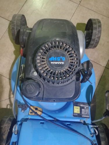 Cortadora De Pasto Gamma 6.5hp