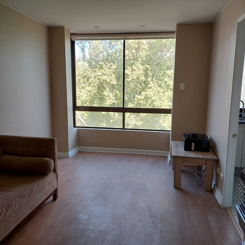 Imagen 4 de 29 de Departamento En Excelentes Condiciones En Calle Lota