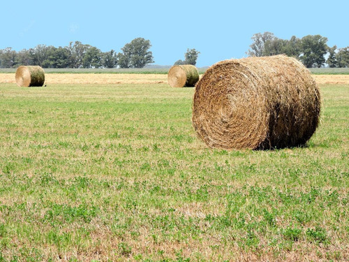 Imagen 15 de 18 de 33 Has En Venta - Chacra Agrícola Con Excelente Acceso