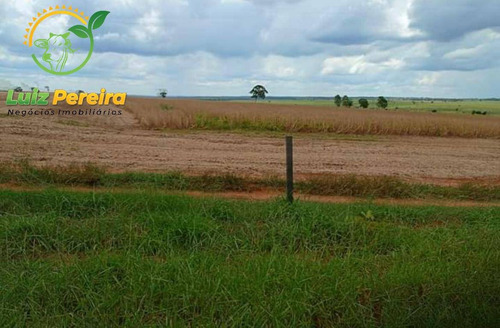 Imagem 8 de 15 de Fazenda À Venda Em Anaurilândia - Ms - (excelente Para Lavoura) - 1696