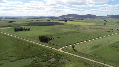 Imagen 3 de 30 de Quinta De 8 Has. A 1.800 Mts Ruta 226 - 100 % Agrícola