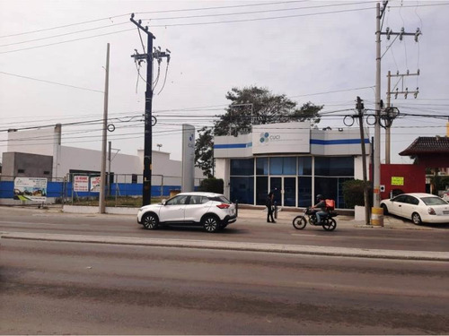 Imagen 3 de 10 de Local Comercial En Renta Lomas Del Chairel