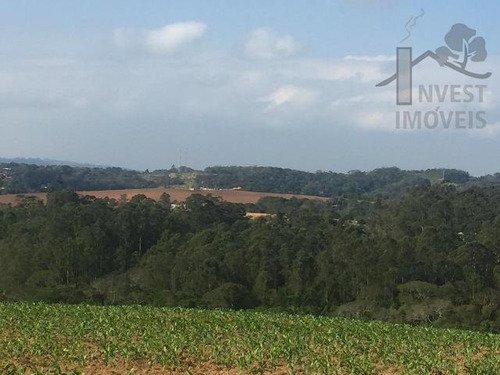 Imagem 3 de 15 de Cod - 5440 - Área Em Ibiúna - 5440