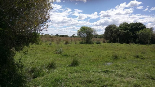 Venta De Campo En Rocha