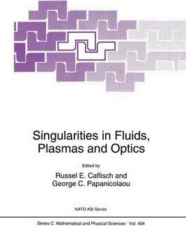 Libro Singularities In Fluids, Plasmas And Optics - Russe...