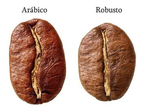 Imagen 6 de 6 de Cafe Italiano Lavazza Gusto Forte Espresso Grano 1kg