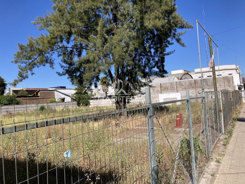 Sitio Con Ubicación Privilegiada En Molina