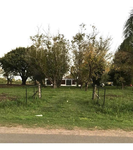 Imagen 14 de 30 de Terreno - Ibarlucea