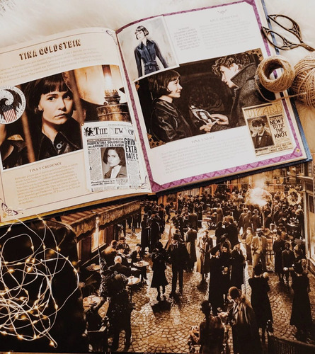 Imagen 4 de 6 de Wizarding World:cine Mágico4. Animales Fantásticos: Crímenes