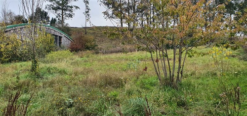Casa En Venta De 3 Dorm. En Llanquihue