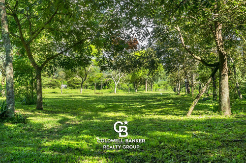 Finca En Vaqueros