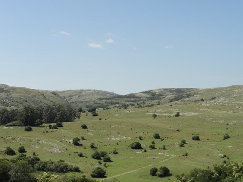 Campo En Venta En La Coronilla