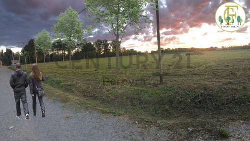 Imagen 4 de 8 de 147 Y 486 - Lote En Venta, Fincas De Gorina
