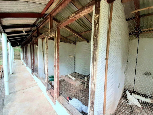 Imagem 15 de 30 de Chácara Com 2 Dormitórios À Venda, 37784 M² Por R$ 660.000,00 - Rio De Una - São José Dos Pinhais/pr - Ch0071