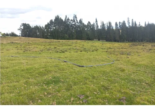 Venta De Lote En Oicata Vereda Poravita