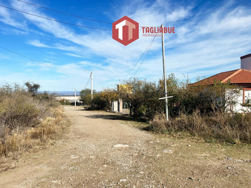 Amplitud Y Vista
